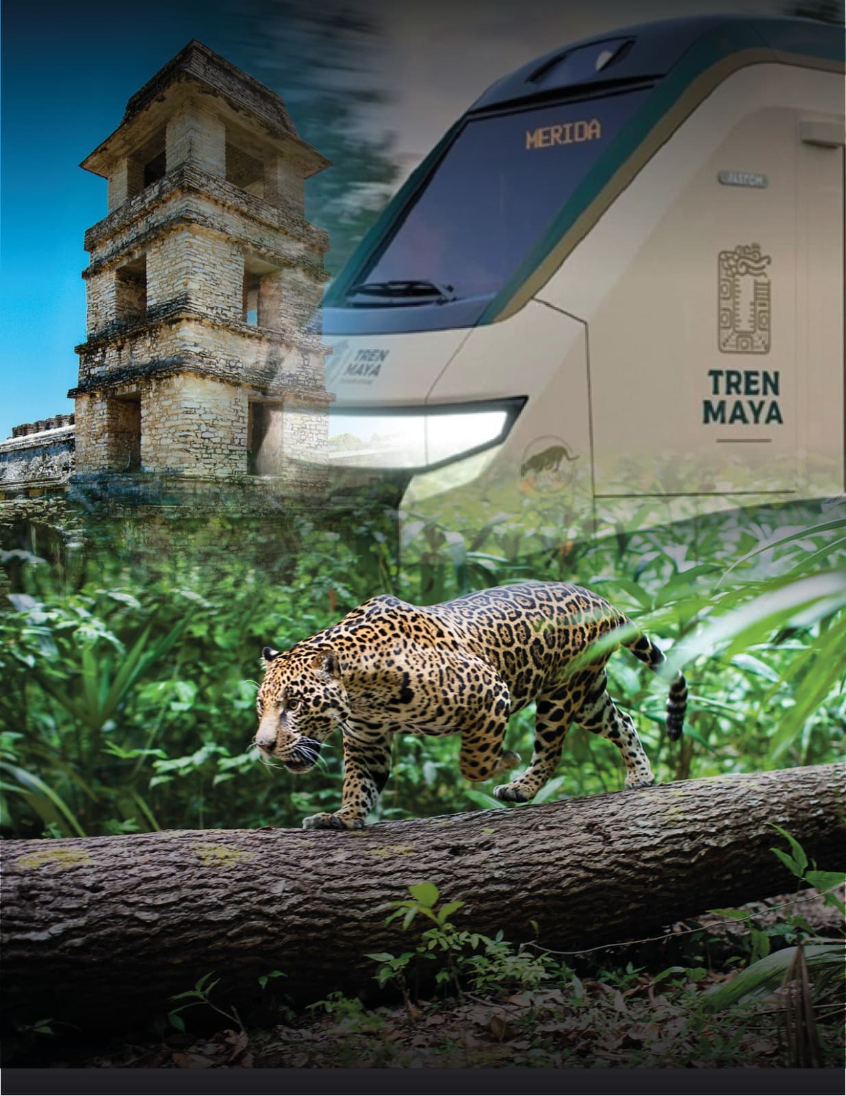 Refugio del Jaguar (con vuelos)