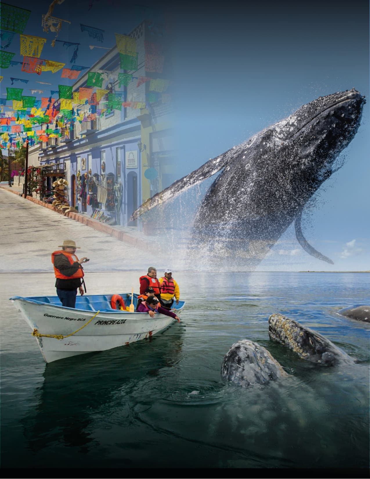 Santuario de la Ballena Gris (2027)